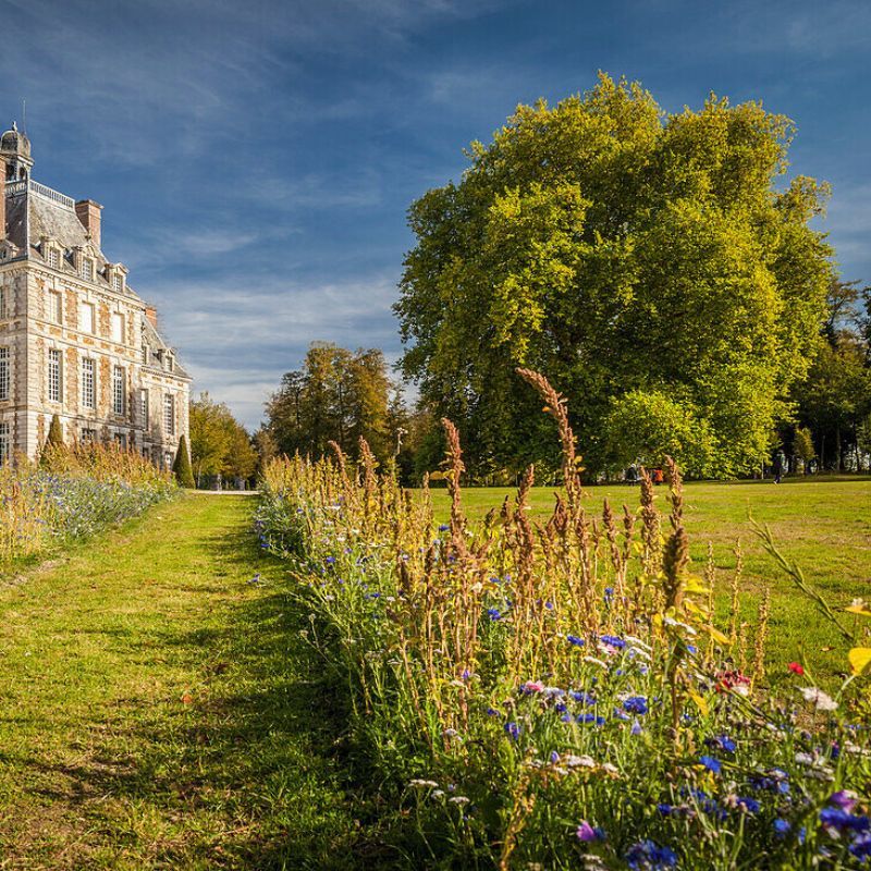 alt="Parc verdoyant du Château de Balleroy avec pelouses, arbres centenaires et allées aménagées"