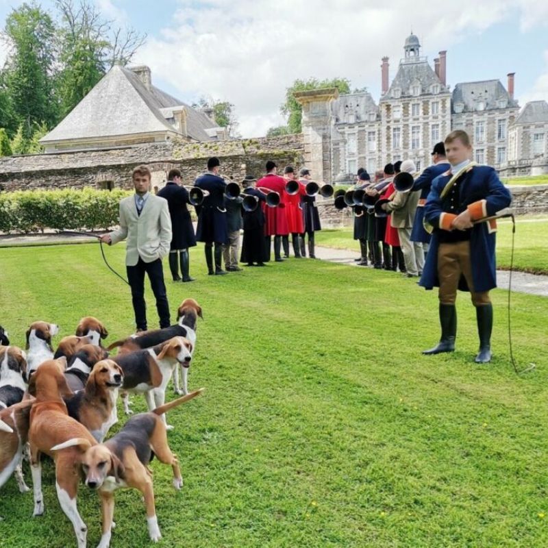 alt="Participants au concours de trompes et chiens pendant la Fête de la Nature dans le parc du Château de Balleroy"