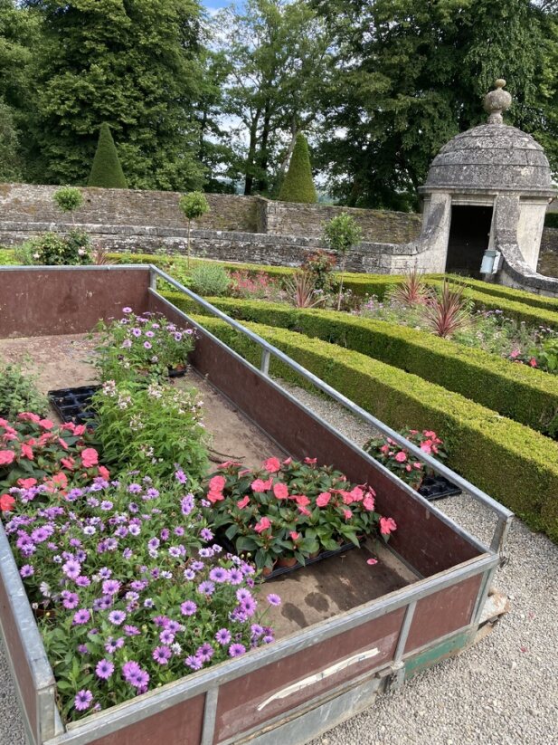 alt="Brouette remplie de fleurs prêtes à être plantées dans les buis"