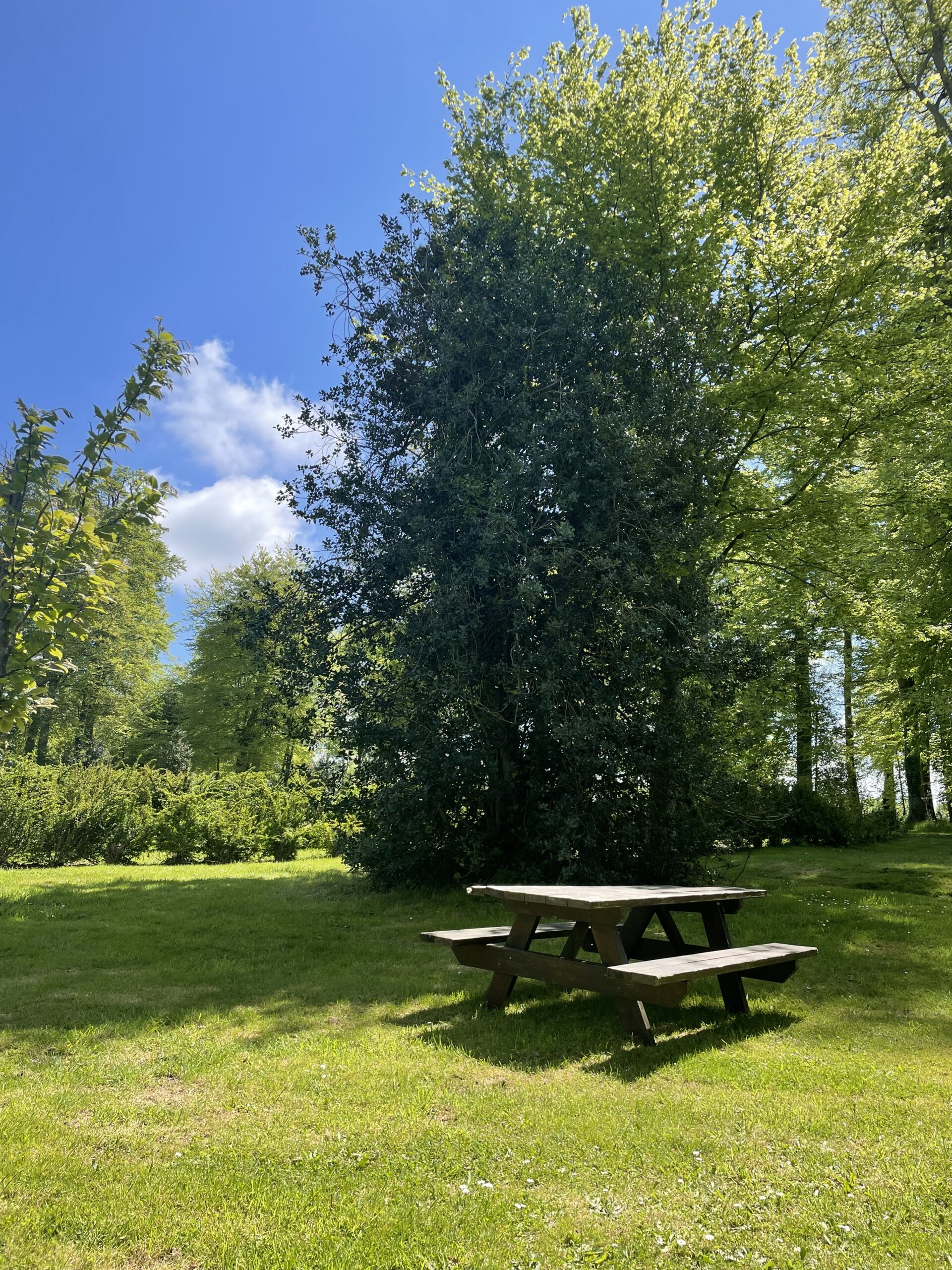 alt="Une des tables de pique-nique dans le parc sous un beau soleil"