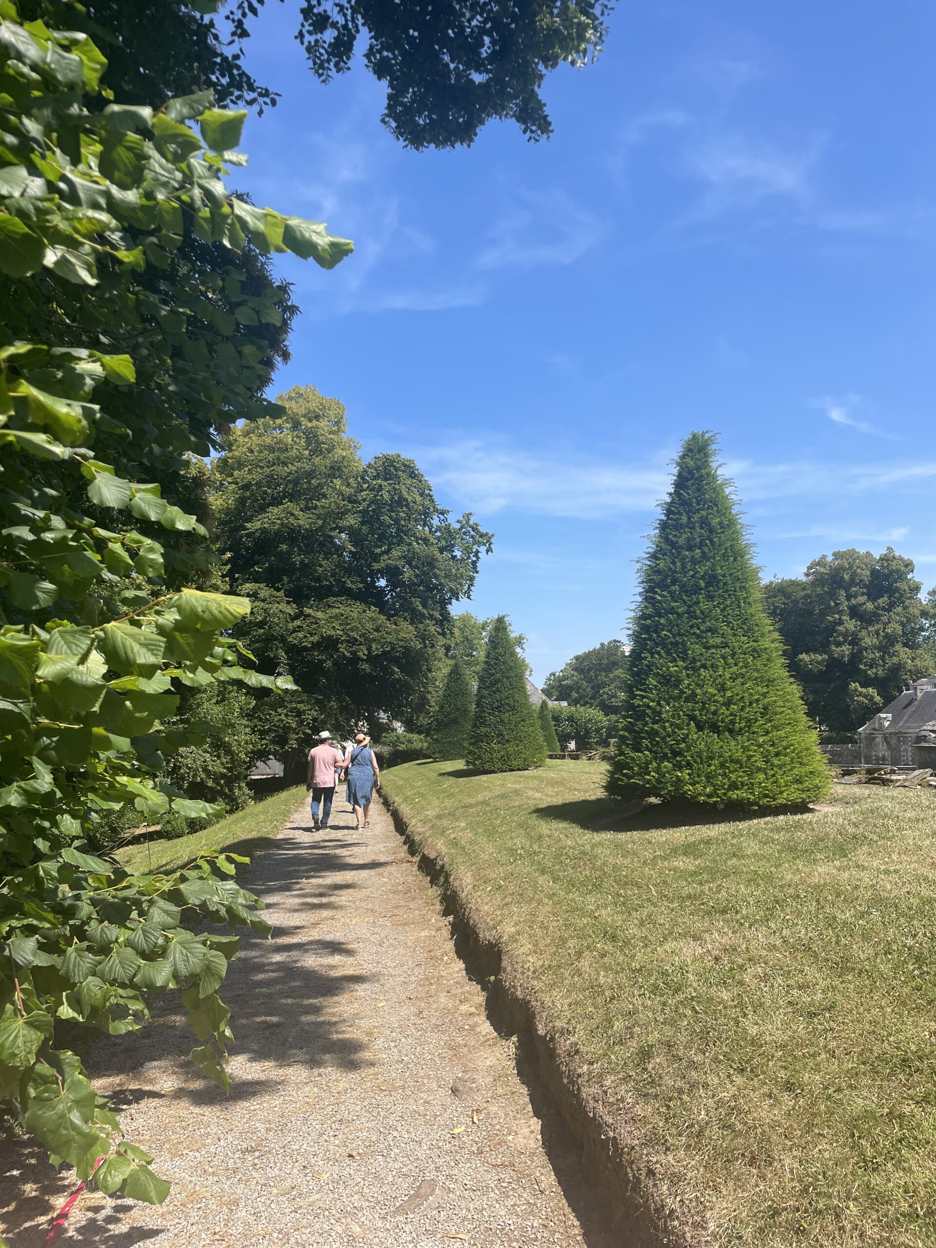 alt="Allée ensoleillée du parc du Château de Balleroy, bordée d’arbres en forme de cône, offrant une vue majestueuse sur le domaine"