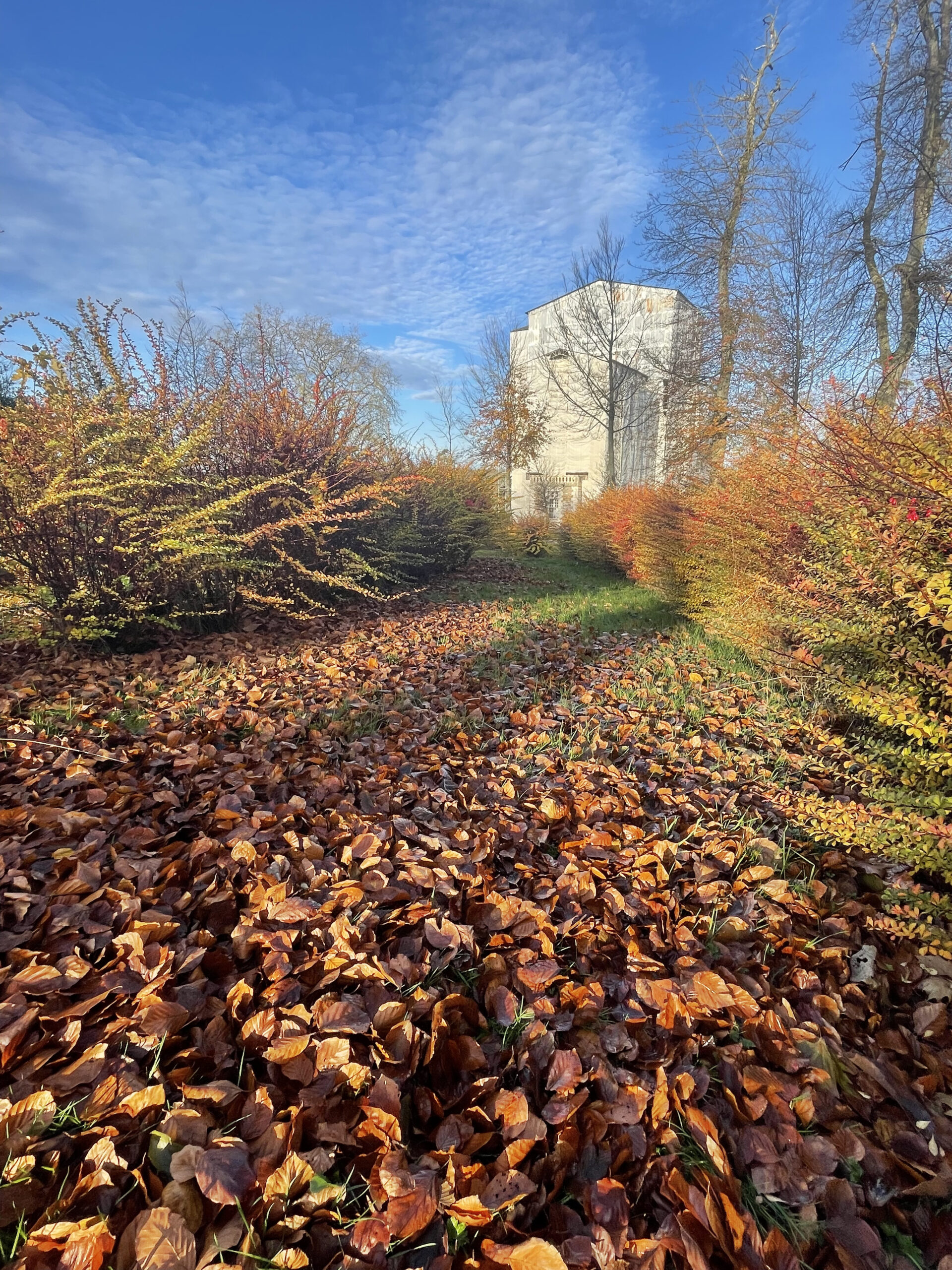 alt="Parc du Château de Balleroy en automne, recouvert de feuilles mortes"