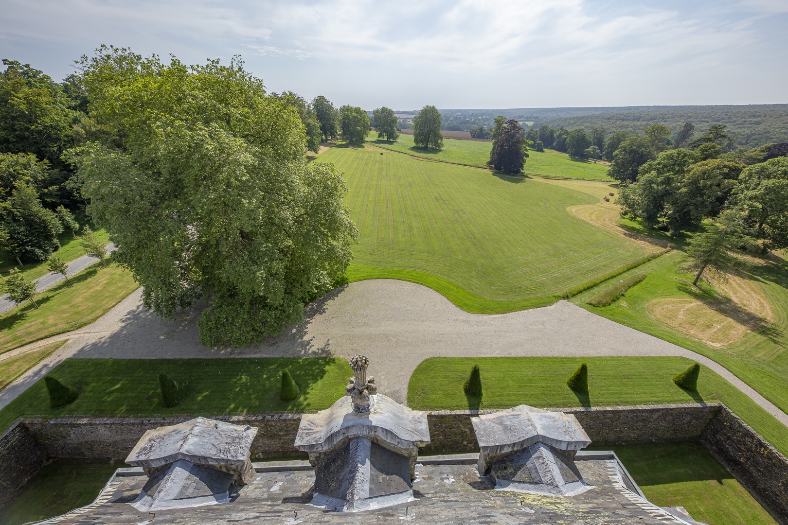 alt="Vue aérienne sur le parc du Château et le hêtre bicentenaire"